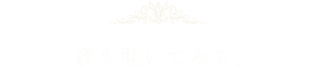 夜も覗いてみる。